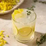 Lemon Thyme Mocktail Recipe