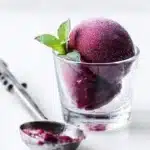 Easy Plum Amaretto Sorbet Recipe 6 Easy Plum Amaretto Sorbet Recipe