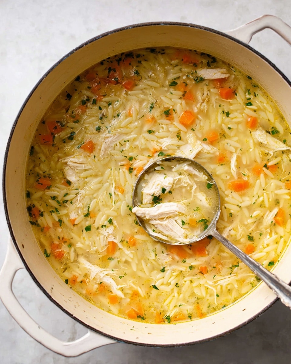 A large white pot filled with a light yellow soup that has small pieces of shredded white chicken, orange carrot bits, and small green herb pieces spread evenly throughout, with white orzo pasta floating in the broth; a silver ladle resting inside the pot scoops some soup, showing the texture and colors clearly, all placed on a white marbled surface. photo taken with an iphone --ar 4:5 --v 7