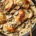 Creamy Mushroom Chicken Recipe