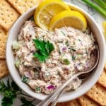 Florida Fish Dip Recipe
