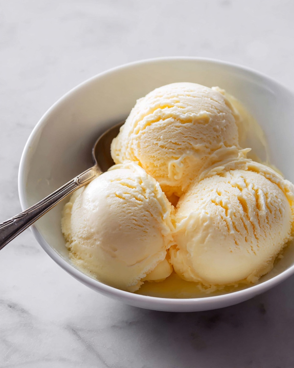 Salted Cantaloupe and Ginger Ice Cream Recipe