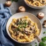 Vegan Mushroom Stroganoff Recipe