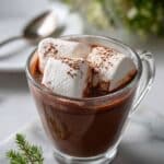 Homemade Slow Cooker Hot Chocolate Recipe
