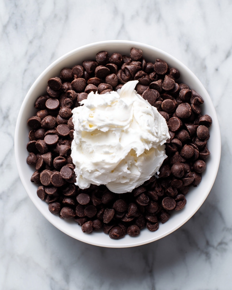 A top view of a white bowl filled with dark brown chocolate chips as the first bottom layer, topped with a large dollop of white solid coconut oil in the center as the second layer, all placed on a white marbled surface. A small part of a woman's hand is visible at the bottom right corner. photo taken with an iphone --ar 4:5 --v 7