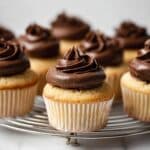 Vanilla Cupcakes with Chocolate Buttercream Frosting Recipe