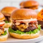 Juicy Bison Burgers Recipe