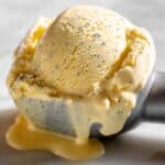The Best Vanilla Ice Cream Recipe