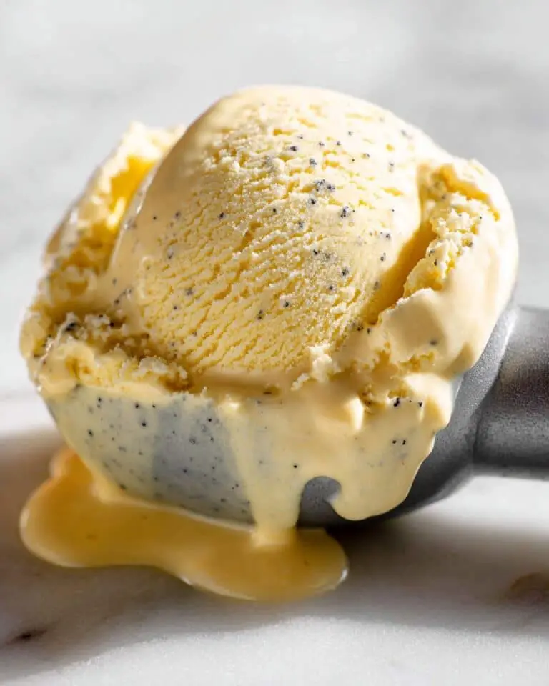 The Best Vanilla Ice Cream Recipe